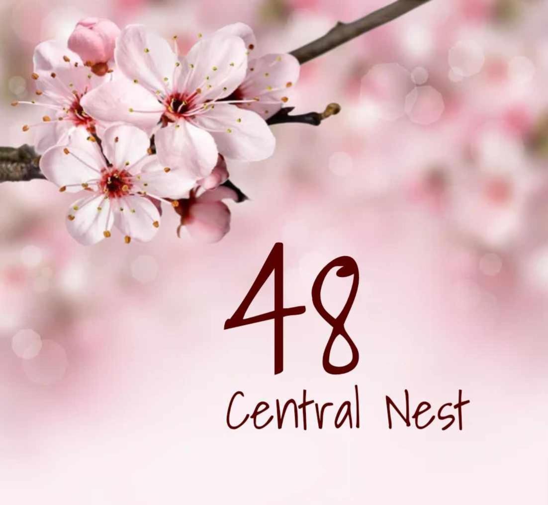 48 Central Nest Volos Buitenkant foto